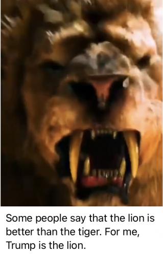 952E63E5-489D-463E-AD56-C7D14E06B40E