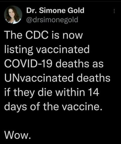 DR Simone Gold 12389402379475974302