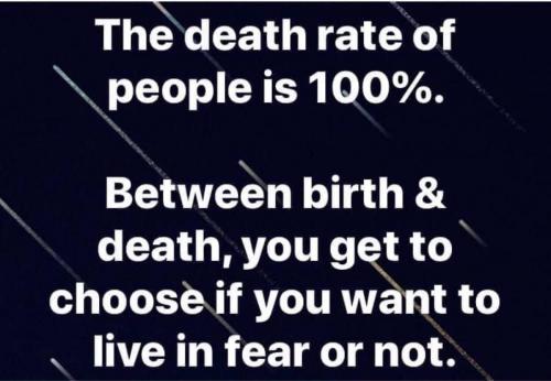 6A5811E4-0393-4D7E-953E-3918E2E7F8CD