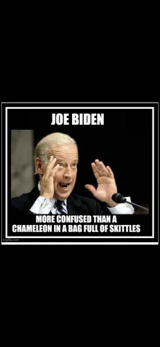 310C54F4-B57A-4FED-80A4-BC9027C3D393