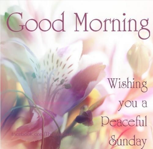 Screenshot_20210919-082207_Message+