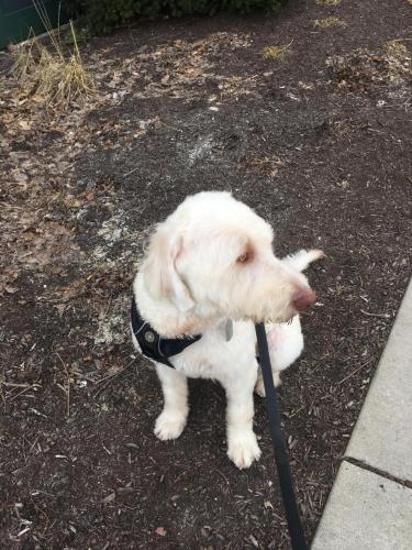 BC4CC677-A704-403C-82C6-7092BEE6ED5C