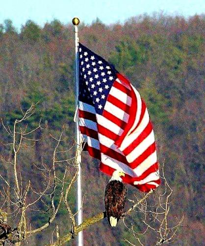 Screenshot_20210922-234407_Gallery