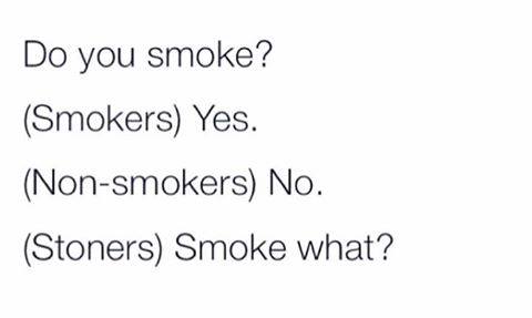 14479551_1273508216002296_3251802049483799223_n