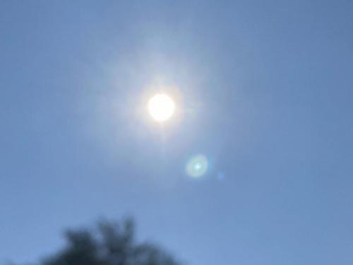 FCE5E8C0-2B4D-401C-8CBE-826C85E2F51B