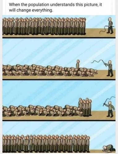 understand
