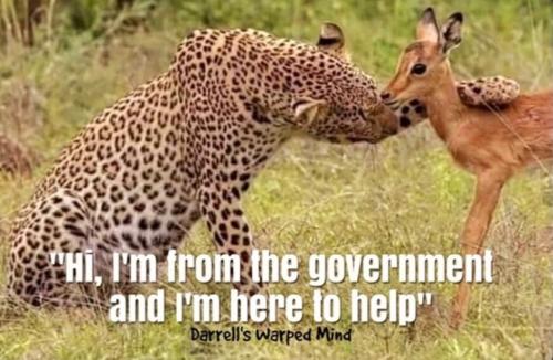 Screenshot_20210908-150751_DuckDuckGo