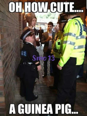 158014119_10215561679795418_7032934311711609399_n