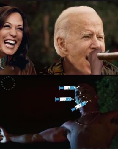 Biden dart gun