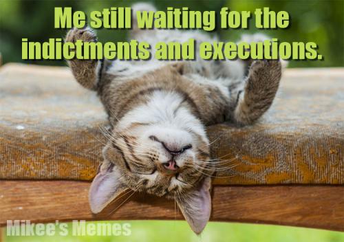Cat Executions