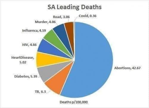 135766047_2868715536714161_8913542349252899774_n