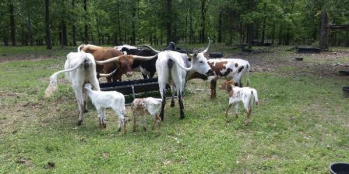 EB9F6728-F352-4C2F-B4C2-696BE55D4265