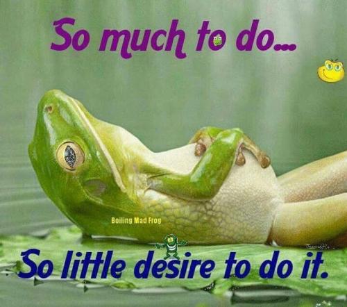 Much to do - Little desire to do it