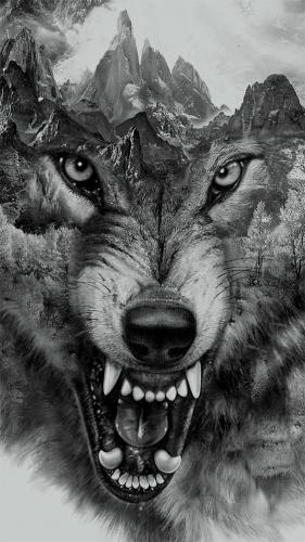 wolf.