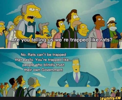 Trapped Like Rats