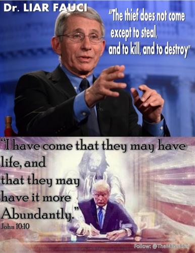Dr Fauci Liar