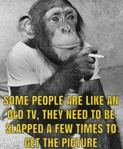 TV - Slap to get the picture