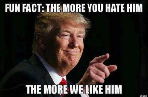 image_1630540944.512