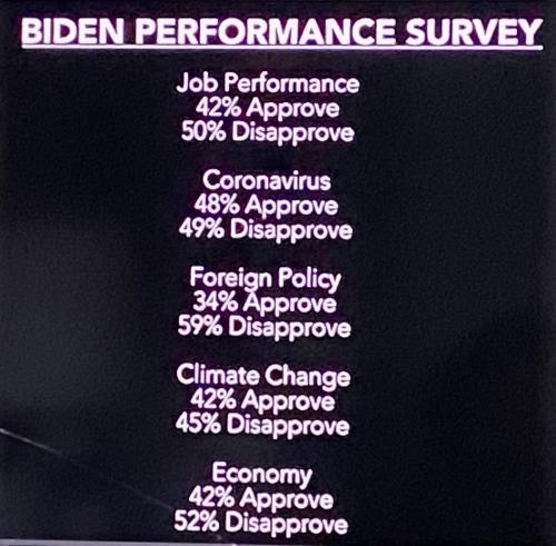 Biden Performance Survey