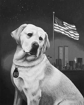 9.11 service dogs