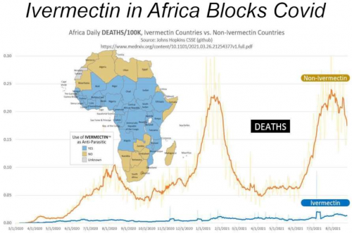 covid africa ivermectin