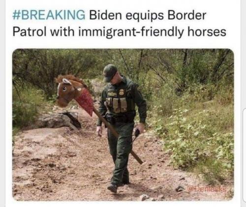 63E9546D-0D6A-43BD-9B36-255AF4BEAE84