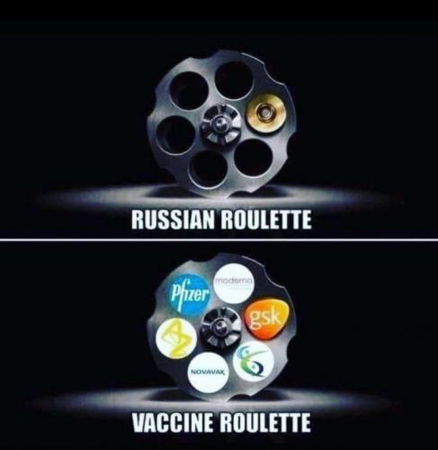 e43e9cdf0bfa3f990cdfee92658b98b7_500x0