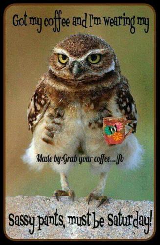 8cdcfe7ceeb1d65bce81bec8b9710864