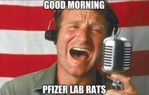 Pfizer lab rats - Good Morning