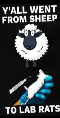 Screenshot_20210923-185203