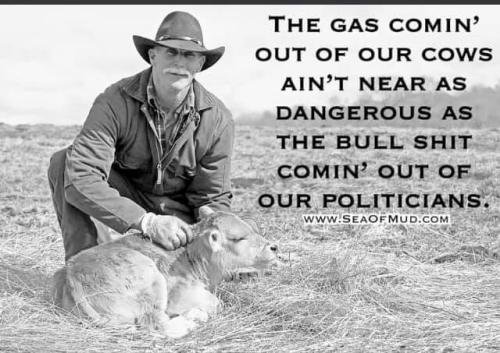 244530430_4544490255628780_8249845795467217784_n