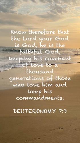 C64FF706-E489-4C7B-B19A-2EBBE9C86D10