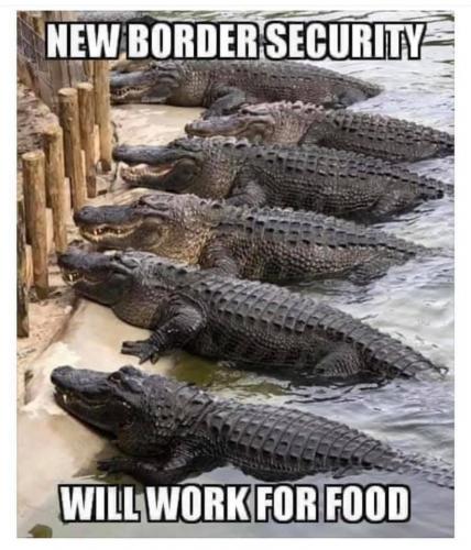 IMG_20211005_054852_658