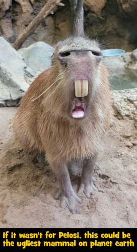 C60E8414-7719-415B-8216-764983ABDA92