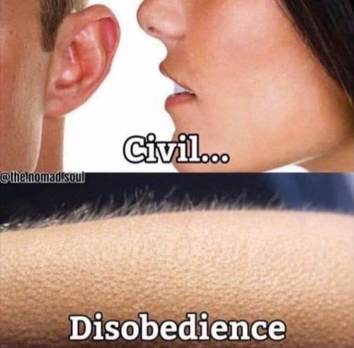 CivilDisobedience1