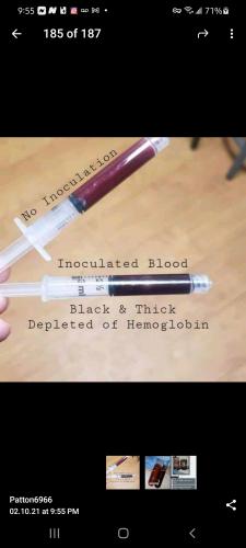 Screenshot_20211002-215545_Telegram