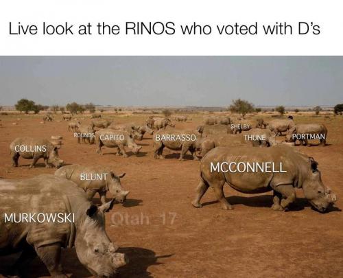 rinos