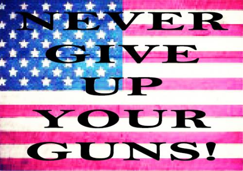 Never give up your guns 01