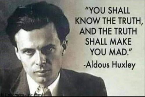 image_1633597312.584