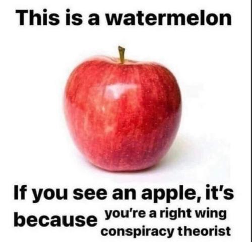 image_1634720555.999