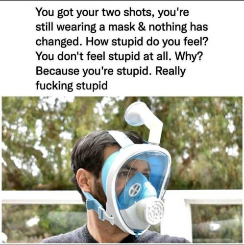 Mask Stupid
