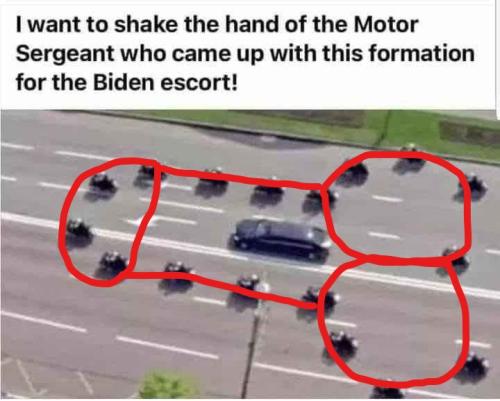 BIDEN DICK_LI