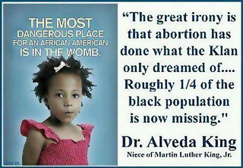 Abortion24