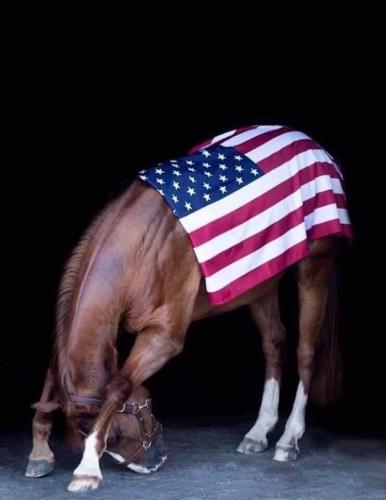 FB_IMG_1573566724645