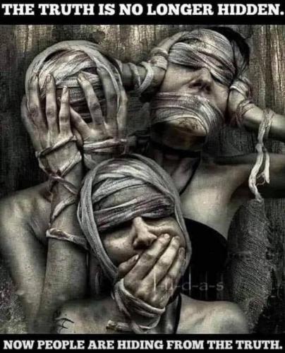 E5E7857B-5984-4713-AB19-FB9913D3D3D4