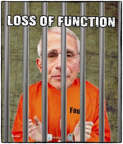 photo_2021-10-25_23-01-06