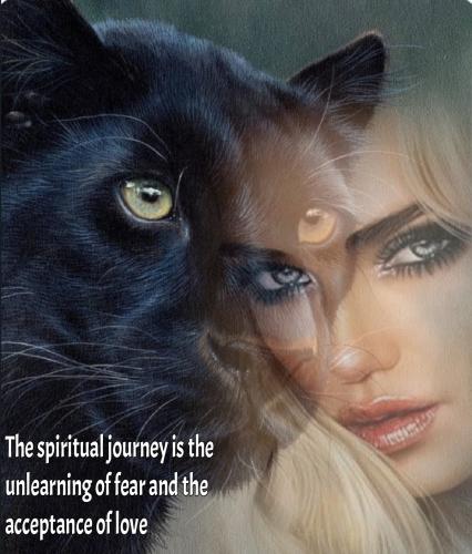 Screenshot_20211030-134943_Add Text