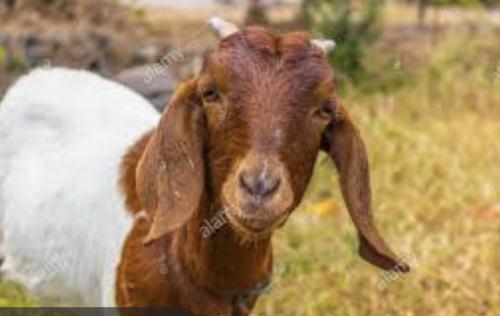 D3E5922C-80A0-4010-B14D-D1E84E207AA6