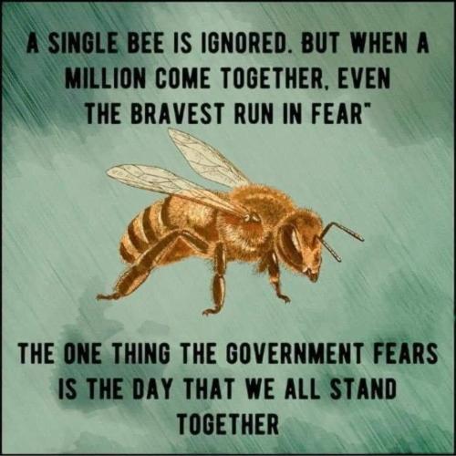 403E8E9E-548E-41F6-81A9-5C97F8888493