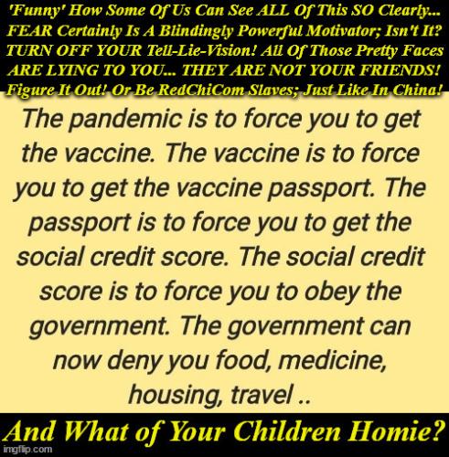 image_1635289141.915